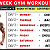 Post: full week gym workout plan