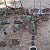 Post: My little garden #Featured #entertainment  @-u96ef15c9-1ebb-4826-b179-6dac5d46566c ...